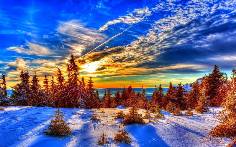 winter-beauty-snow-nature-sunset-trees-winter-landscape